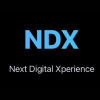 NDX LLC